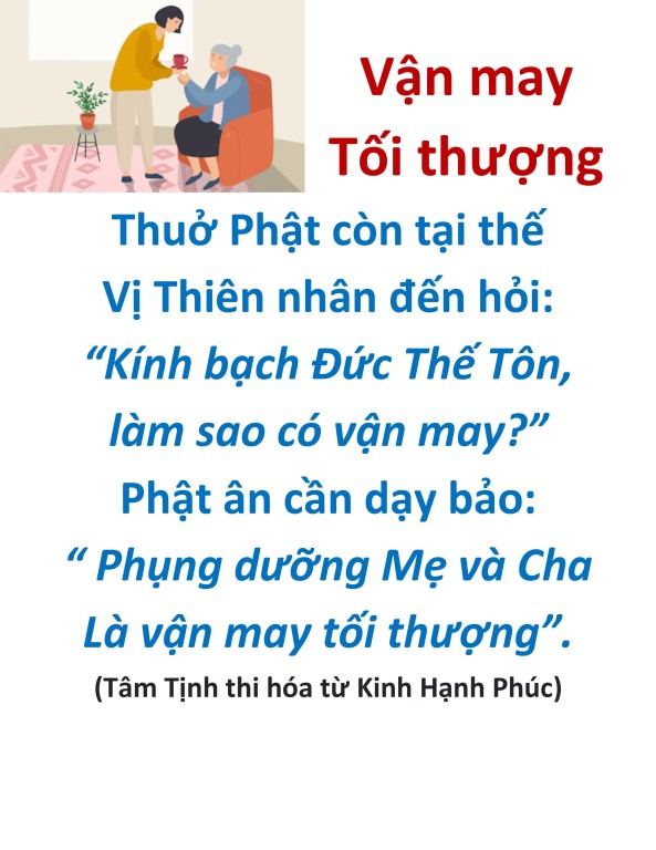 hieu duong cha me_vu lan bao hieu14.jpg